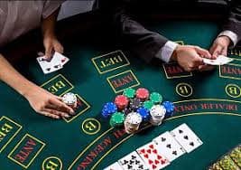 Tabel peringkat bola voli dan statistik pemain di dashboard jointogel